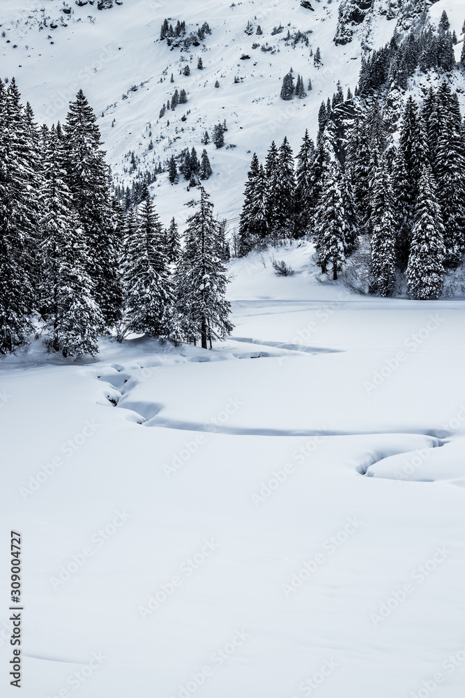 Obraz premium winterwonderland