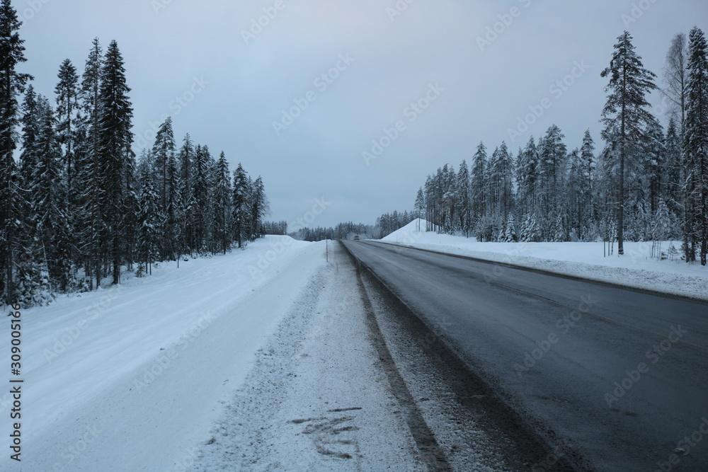 Winter highway in the forest