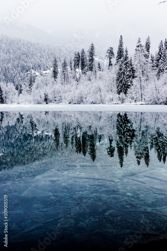 winterwonderland © Noah Leon Mäder