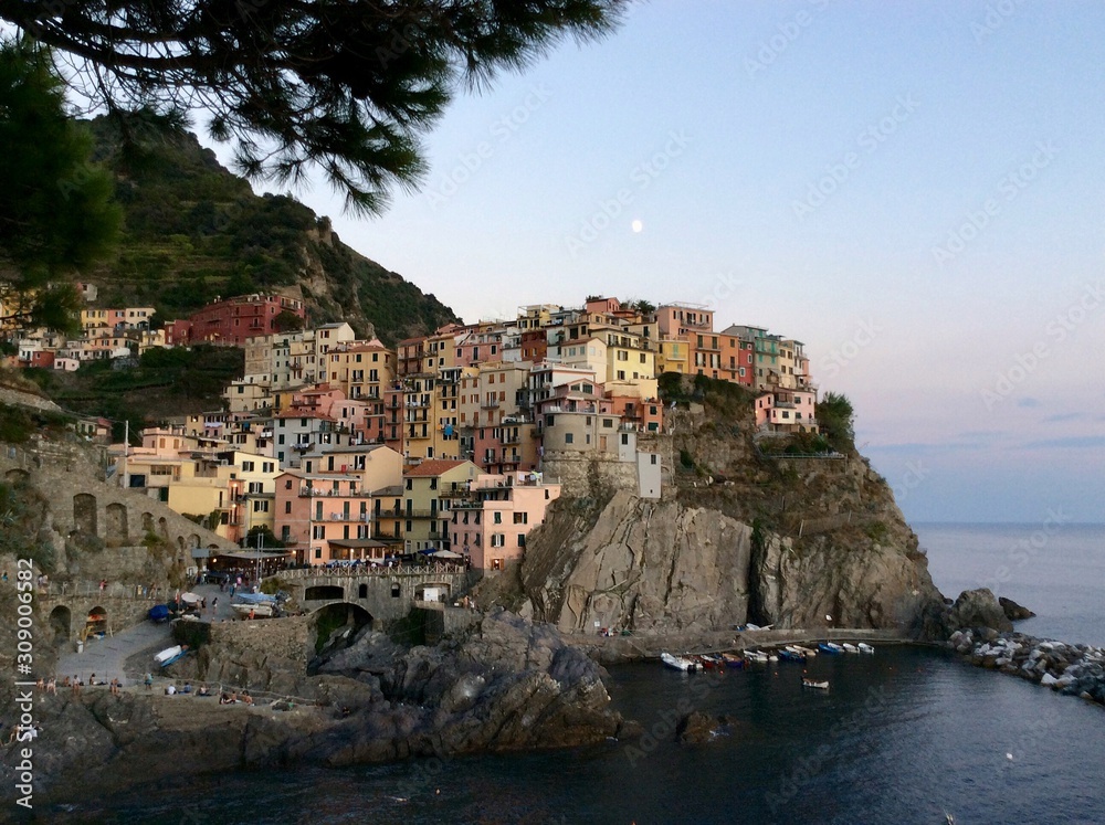 Manarola is one of Italy's most famous attractions.  A small town on a mountain with colored houses on the seashore.  Photo for a guide to Italy.