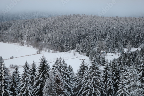 A huge glade of snow in the forest