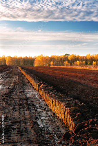 Rows of cutted peat at an excavation side in a peat bog at Northwestern Germany