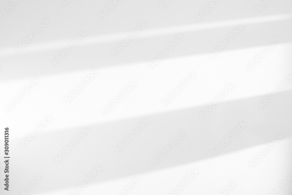 Organic drop diagonal shadow on a white wall. Overlay effect for photo, mock-ups, posters, stationary, wall art, design presentation Organic drop diagonal shadow on a white wall. Overlay effect for photo, mock-ups, posters, stationary, wall art, design presentation