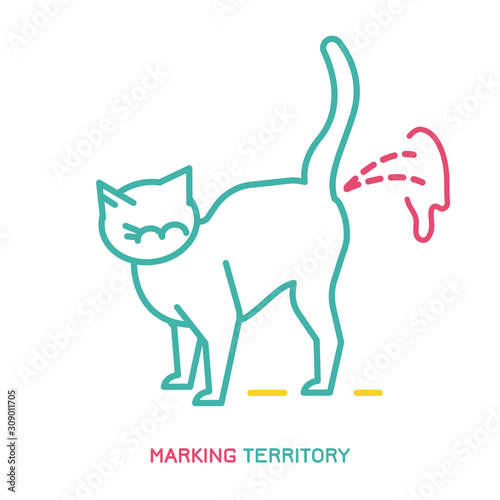 Cat marking territory sign