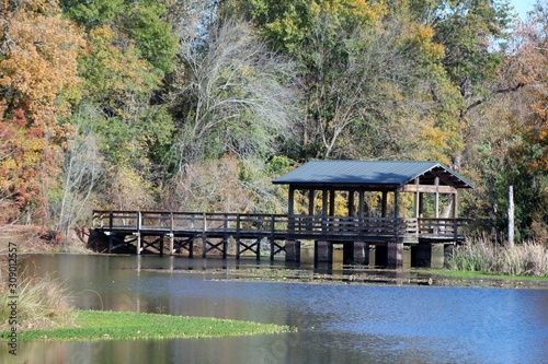 wooden bridge over the pond