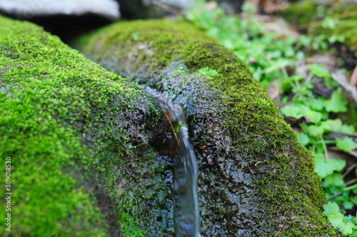 Tiny rill flowing through the rocks and moss