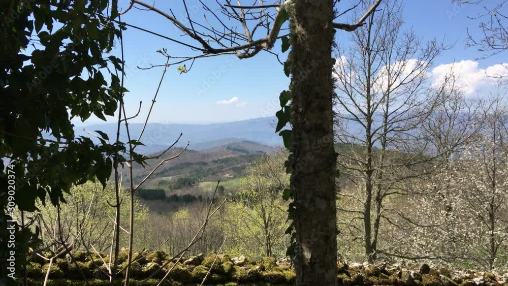 4k Panoramic view of the valley below the sanctuary of La Verna, Arezzo,Tuscany,Italy 4k Panoramic view of the valley below the sanctuary of La Verna, Arezzo,Tuscany,Italy