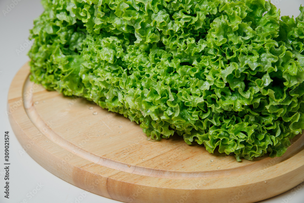 Fresh lettuce salad leaves bunch isolated on white background cutout Fresh lettuce salad leaves bunch isolated on white background cutout