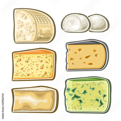 Vector set of fresh Cheese, collection of 6 cut out illustration of diverse mix cheeses on white background.