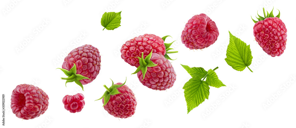 Raspberry isolated on white background - obrazy, fototapety, plakaty 