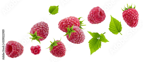 Raspberry isolated on white background photo
