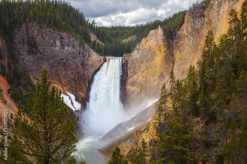 Lower Falls in Yellowstone National Park  Wyoming  USA