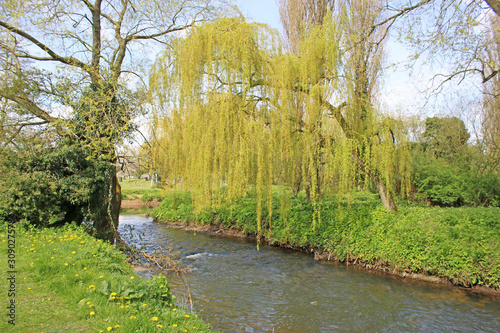  Cod Beck river in Thirsk photo