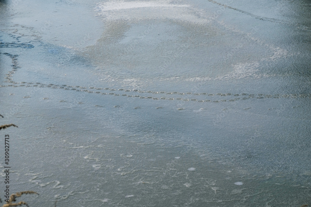 The surface of the lake is frozen. The first ice. Traces of wild ducks on ice. The surface of the lake is frozen. The first ice. Traces of wild ducks on ice.
