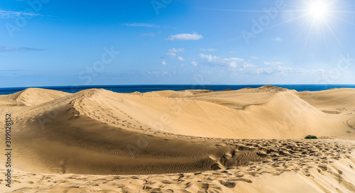 Golden sand dunes of Maspalomas  Gran Canaria  Canary Islands  Spain