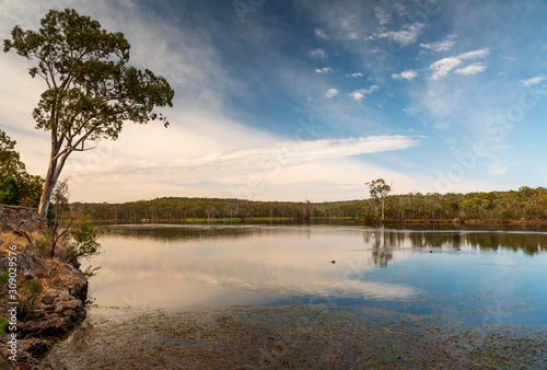 The Barossa Reservoir water supply with trees in the background and ducks in the foreground