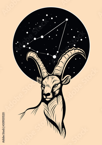 Steinbock unter der Sternenkonstellation des Steinbocks