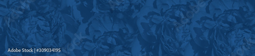 Panorama trendy blue peony.