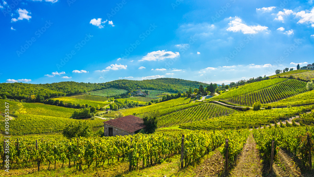 Fototapeta premium Winnica Radda in Chianti i panorama o zachodzie słońca. Toskania, Włochy