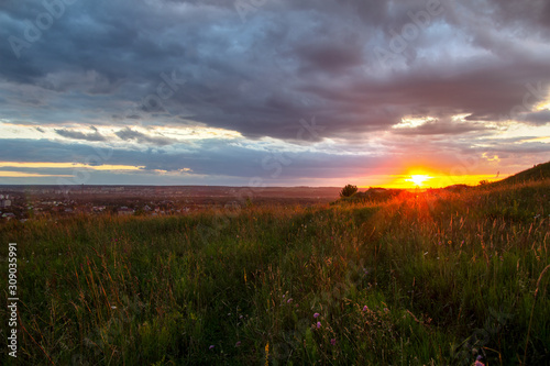 Sunset in dramatic cloudscape over wild herb field with distant city in view.