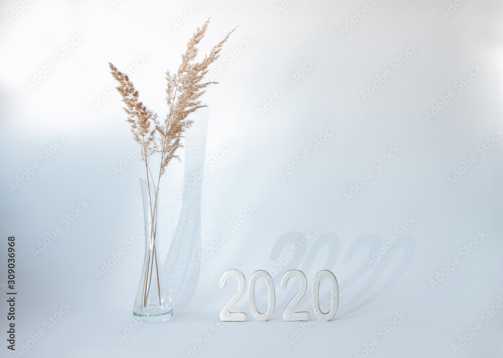 Fototapeta premium Figures 2020 on white background with shadow and dried flower in vase