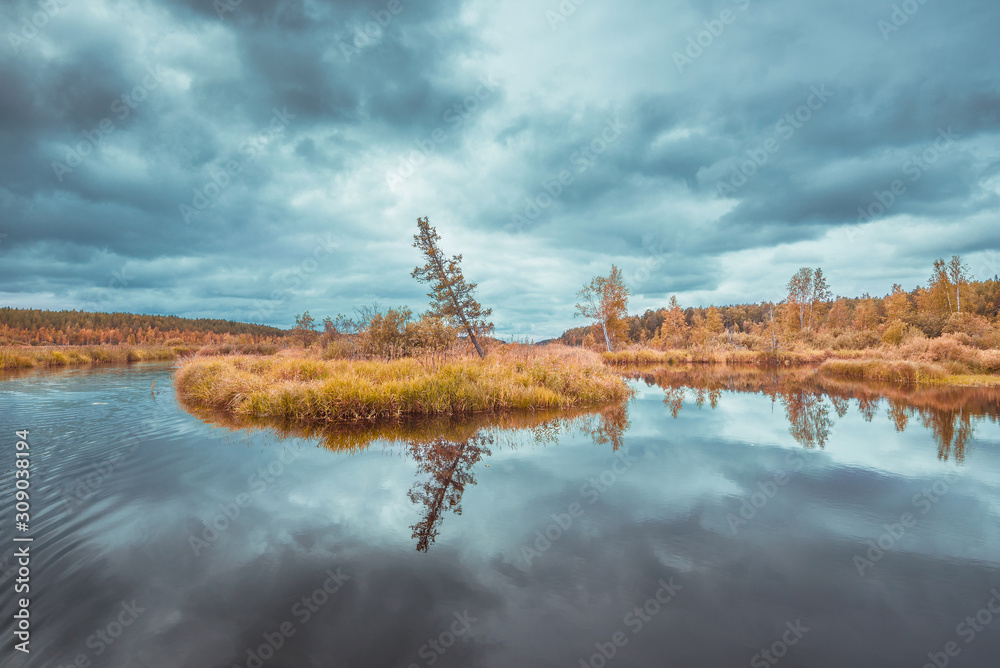 Dawn morning on the river swamp in autumn, the light, the color is unusual and beautiful. Dawn morning on the river swamp in autumn, the light, the color is unusual and beautiful.