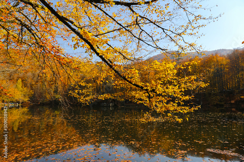 Buyuk Lake in Yedigoller National Park, Bolu, Turkey