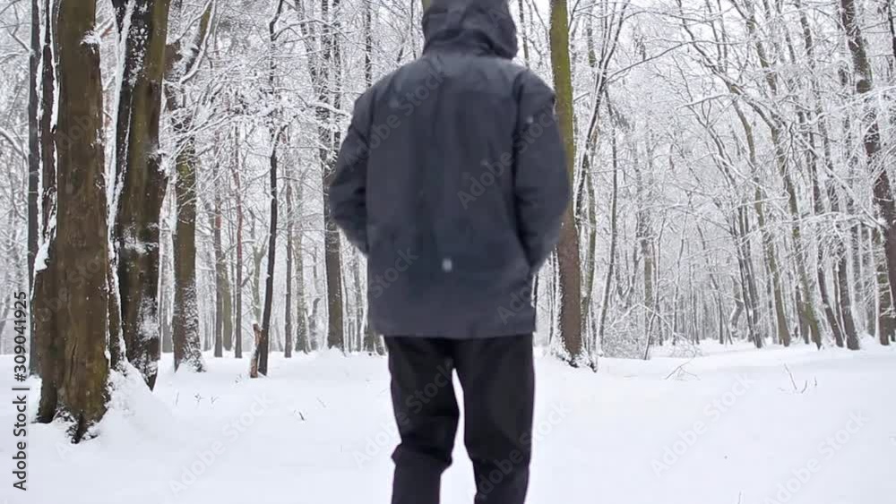 Walking in the snow Walking in the snow