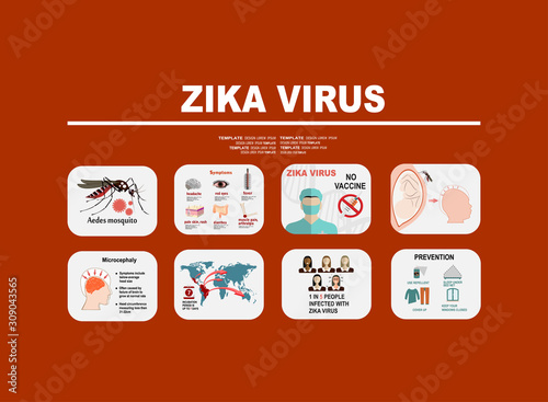 Zika virus infographic elements - prevention, transmission, vaccine, symptoms, microcephaly, protection measures. Zika virus disease. Zika virus design template. Isolated vector illustration.