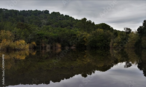 hidden lake in forest
