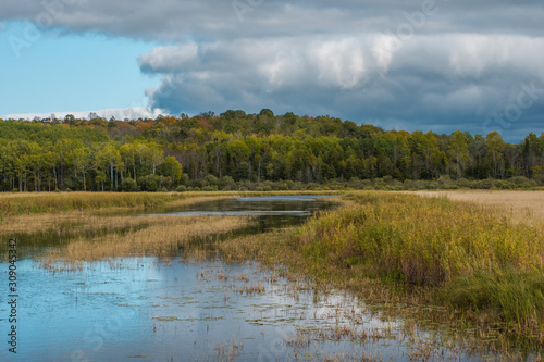 Late Summer River and Forest