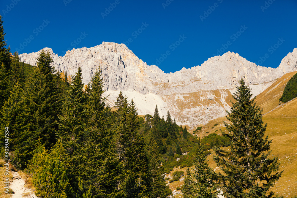 Leuchtende Felswand im Hochgebirge mit Bergwald und tiefblauem Himmel