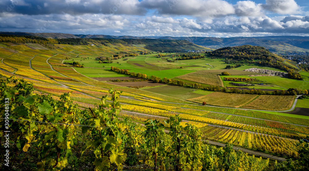 Weite Landschaft mit bunte Weinbergen