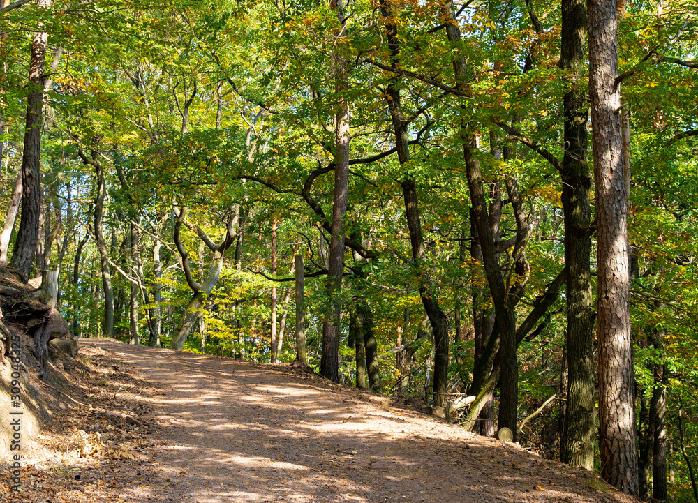 Wandern in der Pfalf