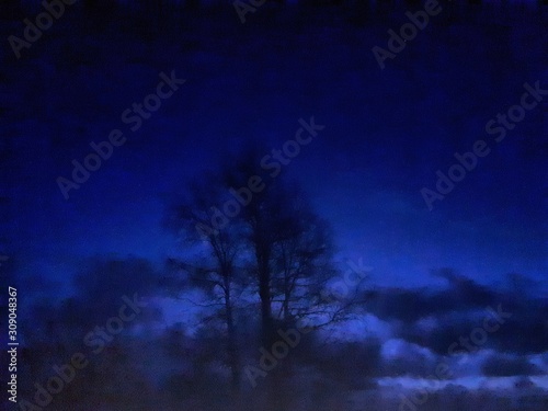 Tree in the night - Fetsund  photo