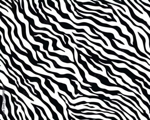 Obraz Pełna bezszwowa tapeta na wzór skóry zwierząt zebry i tygrysa. Czarno-biały wzór do drukowania na tkaninach. Modny i dopasowany do wystroju domu.