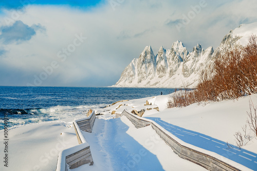 Snowy winter landscape of Lofoten Islands in Norway, scenery of island Senja - snow capped beach against of dramatic blue cloudy sky and jagged mountain ridge. Traditional Arctic Scandinavian view.