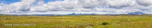 Panoramic view about wide southern Iceland veld in summer