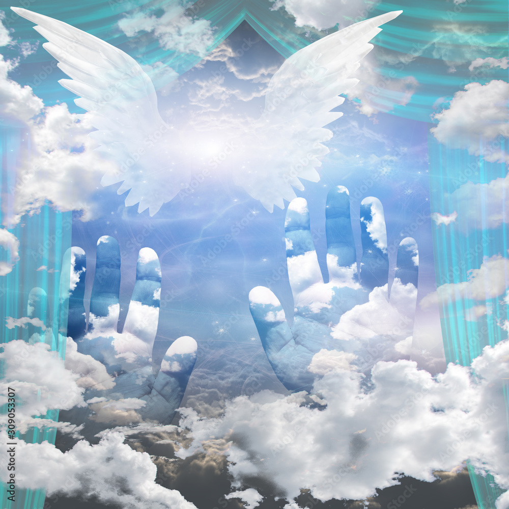 Angel Wings and Hands Reach Up Toward Heaven Stock Illustration Adobe Stock