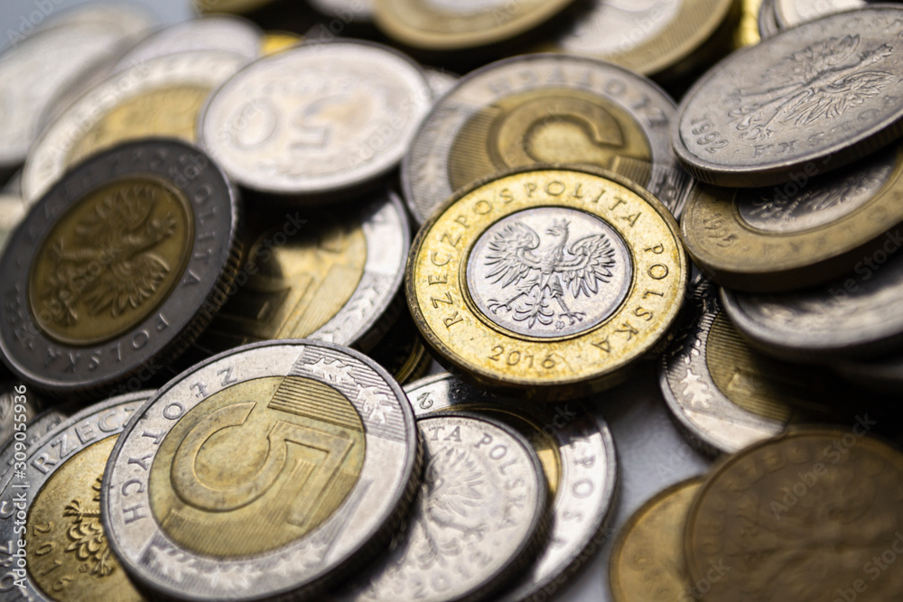 Polish zloty coins. Macro photo. Polski zloty Polish zloty coins. Macro photo. Polski zloty