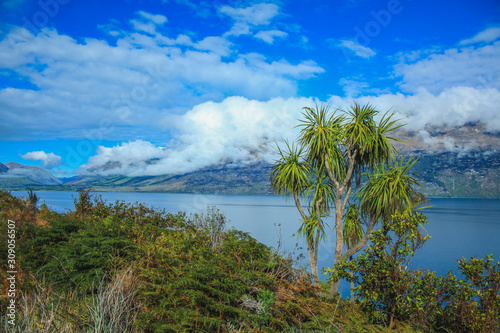 View of Remarkables mountain range and Lake Wakatipu in Queenstown  South Island  New Zealand