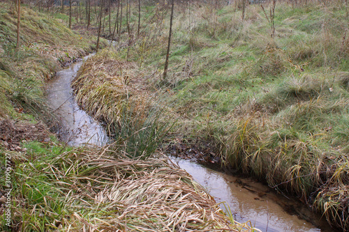 Bachlauf photo