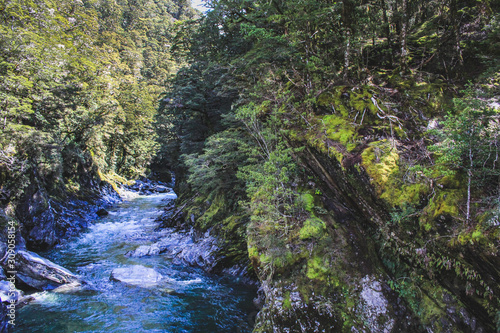 Blue Pools in Mount Aspiring National Park  South Island  New Zealand