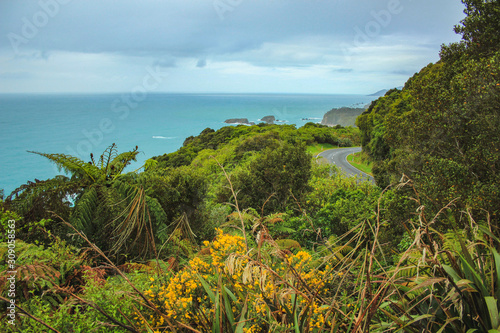Road along the West Coast of the South Island, view of wide ocean, New Zealand