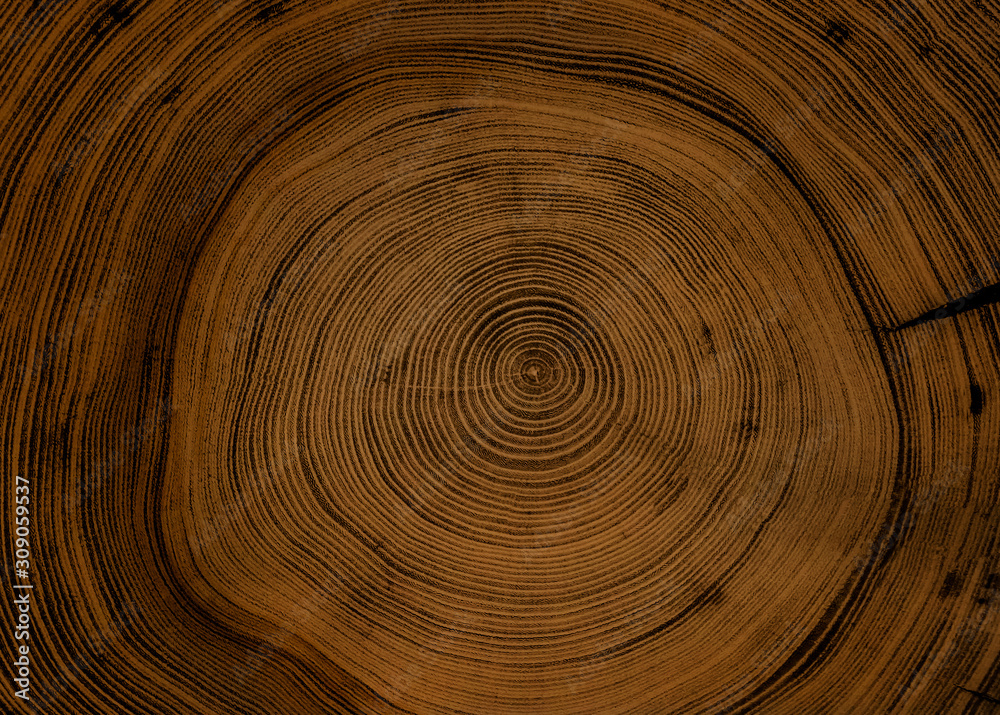 Old Wooden Oak Tree Cut Surface Detailed Warm Dark Brown And Orange old-wooden-oak-tree-cut-surface-detailed-warm-dark-brown-and-orange