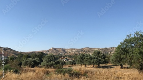 landscape with trees and blue sky on the hill in cyprus village 