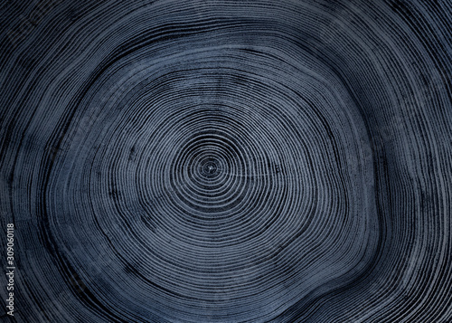 Old wooden oak tree cut surface. Detailed warm dark brown and orange tones of a felled tree trunk or stump. Rough organic texture of tree rings with close up of end grain. © CaptureAndCompose