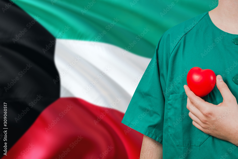 Kuwait veterinary clinic concept. Veterinarian is holding plastic heart