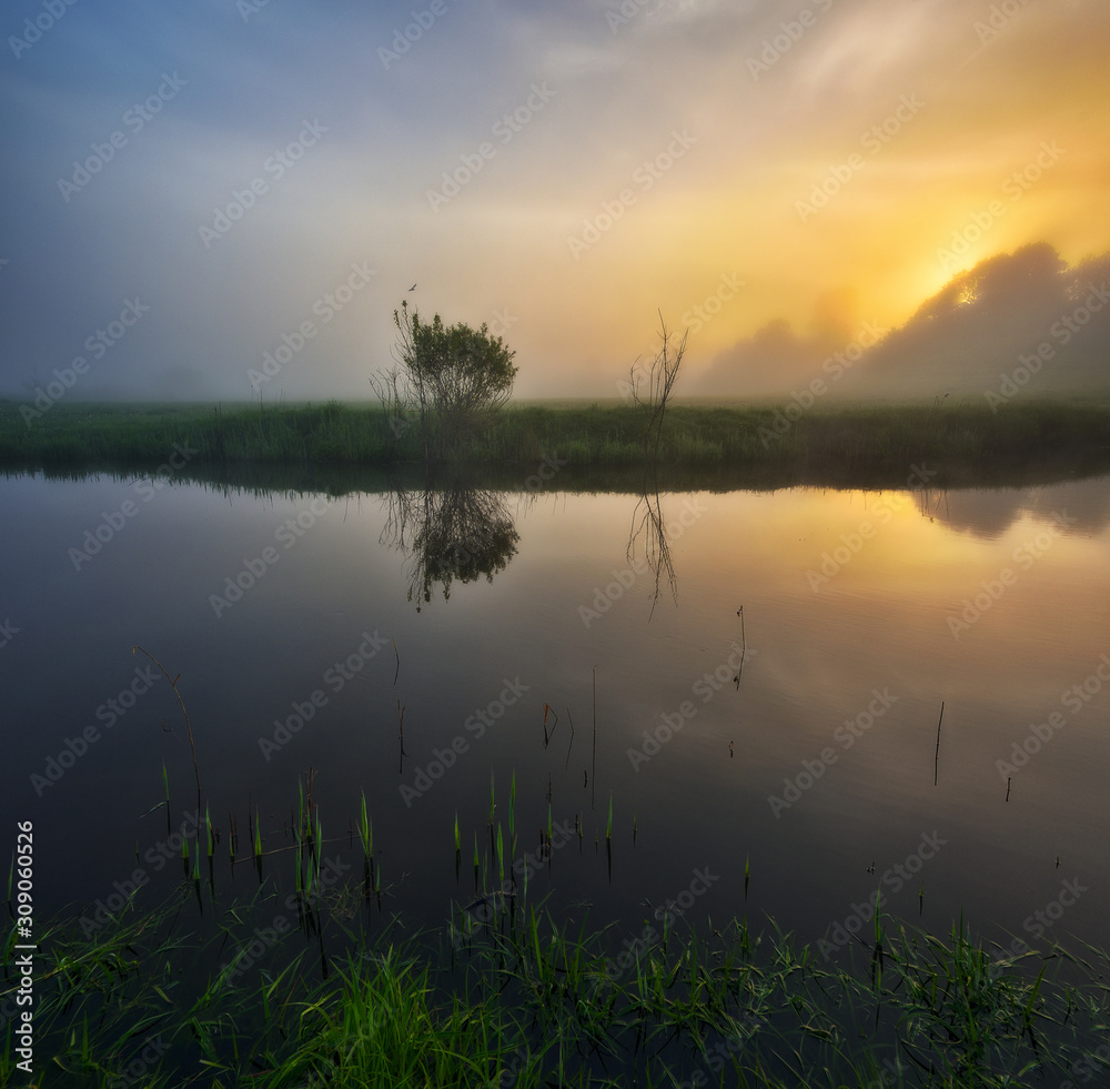 fog in the river valley. picturesque spring morning. beautiful foggy sunrise in a foggy meadow fog in the river valley. picturesque spring morning. beautiful foggy sunrise in a foggy meadow