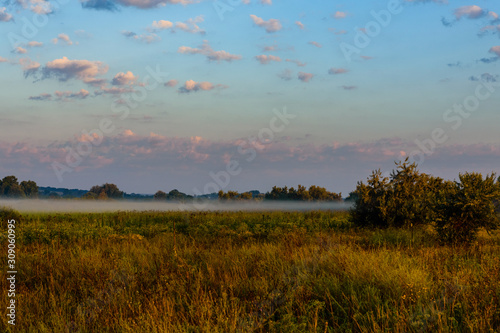 Fog on a meadow in morning on summer